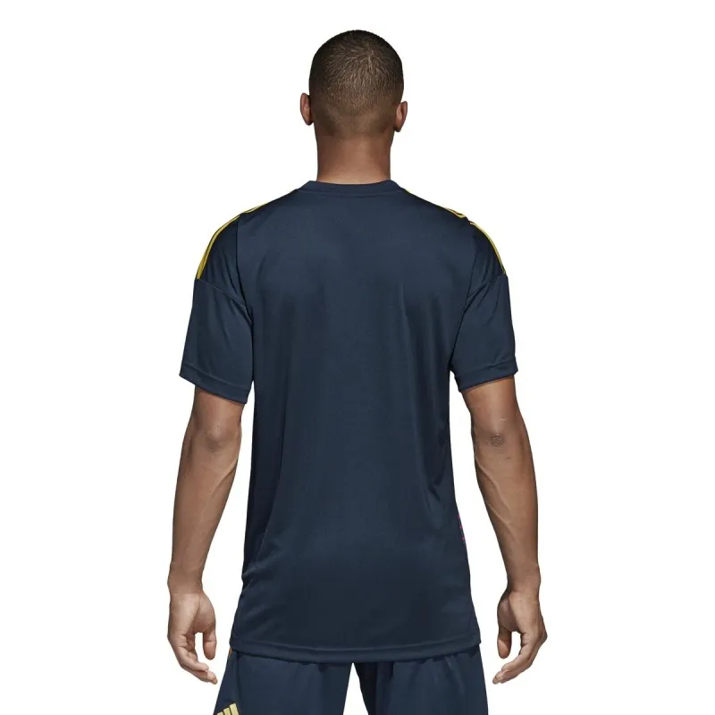 Colombia FCF jersey pre partido de rosa 2018/19 Adidas
