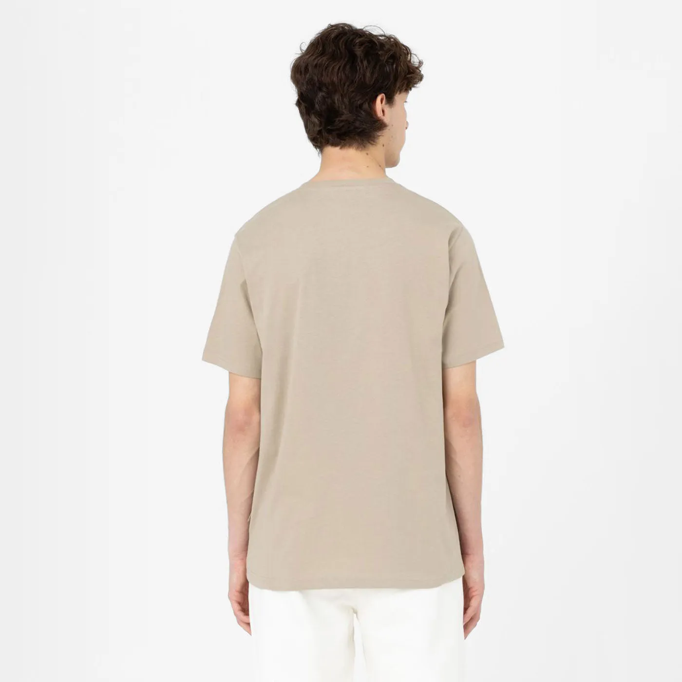 DICKIES TSHIRT MAPLETON DESERT SAND
