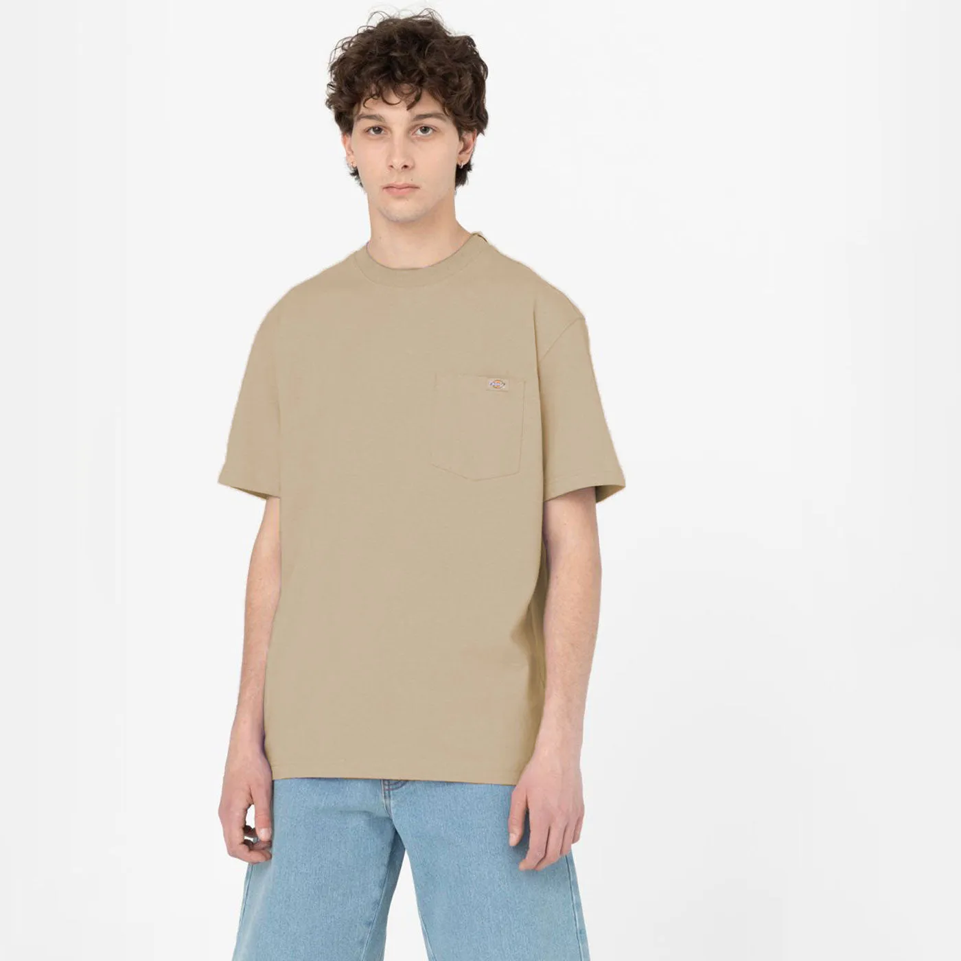 DICKIES TSHIRT PORTERDALE DESERT SAND