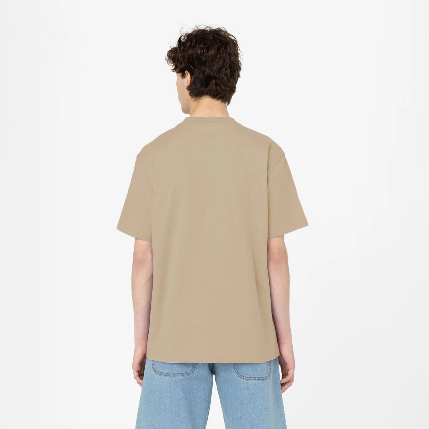 DICKIES TSHIRT PORTERDALE DESERT SAND