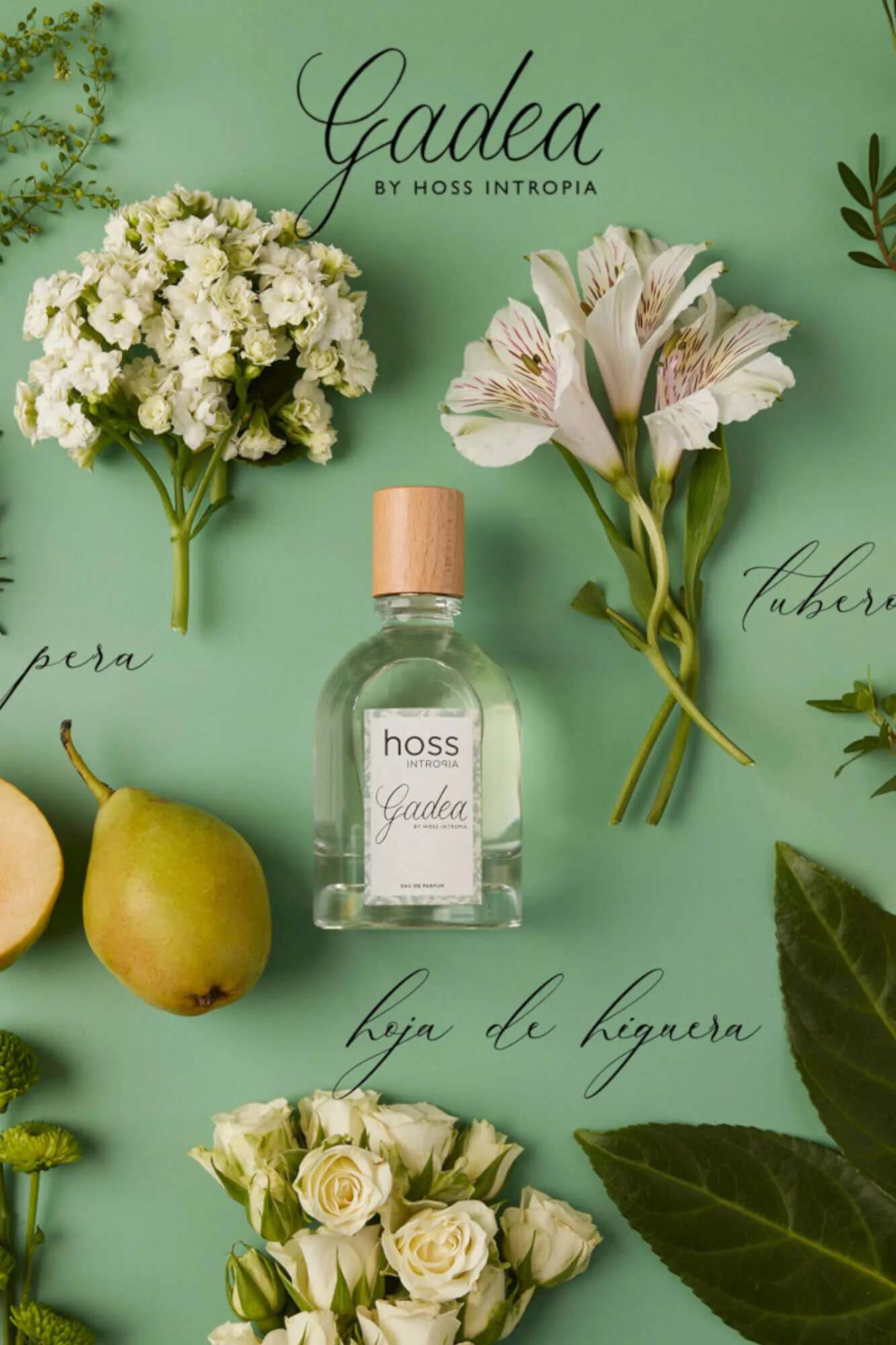Hoss Intropia Gadea Perfume Hoss Intropia