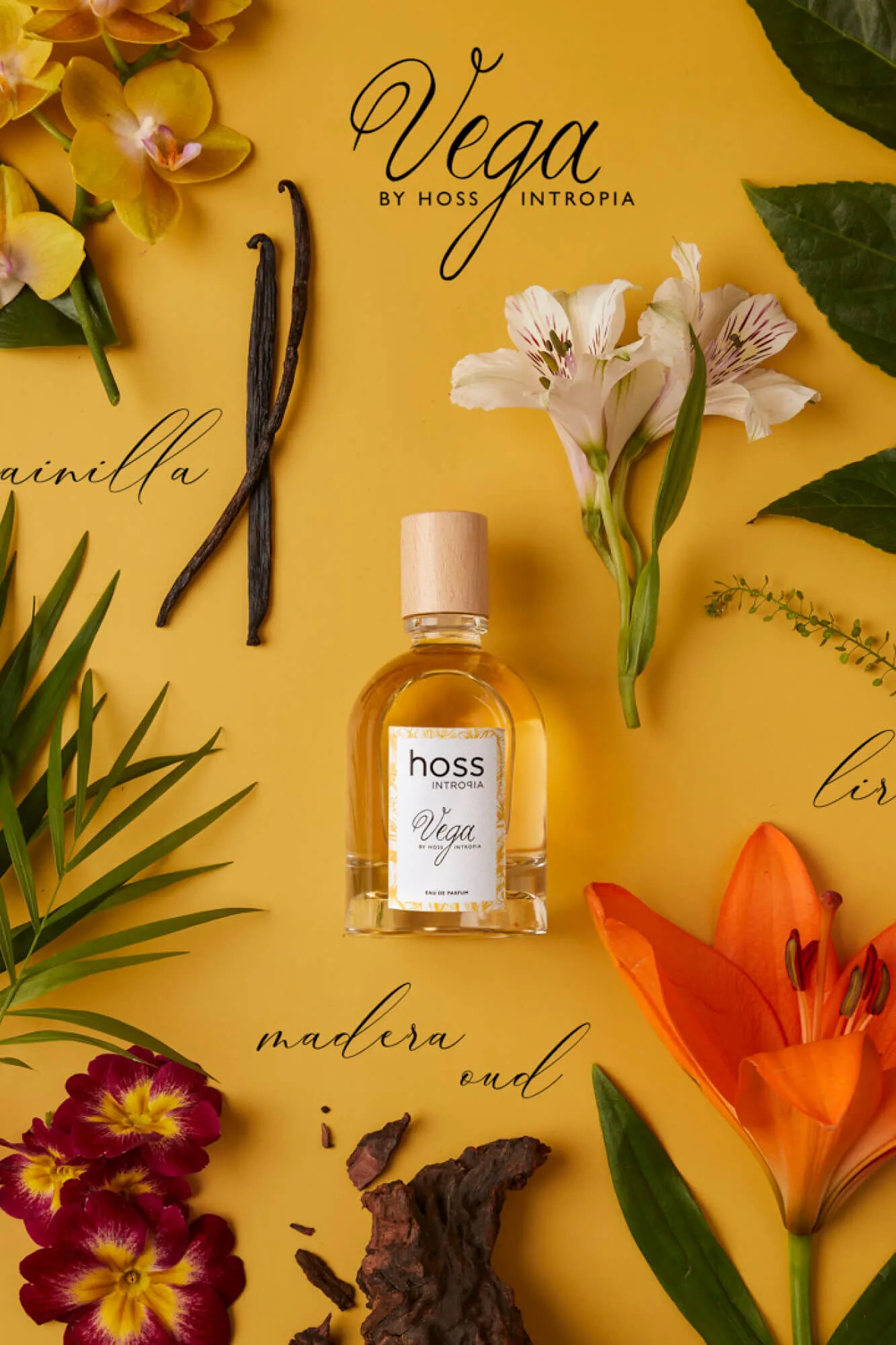 Hoss Intropia Vega Perfume Hoss Intropia