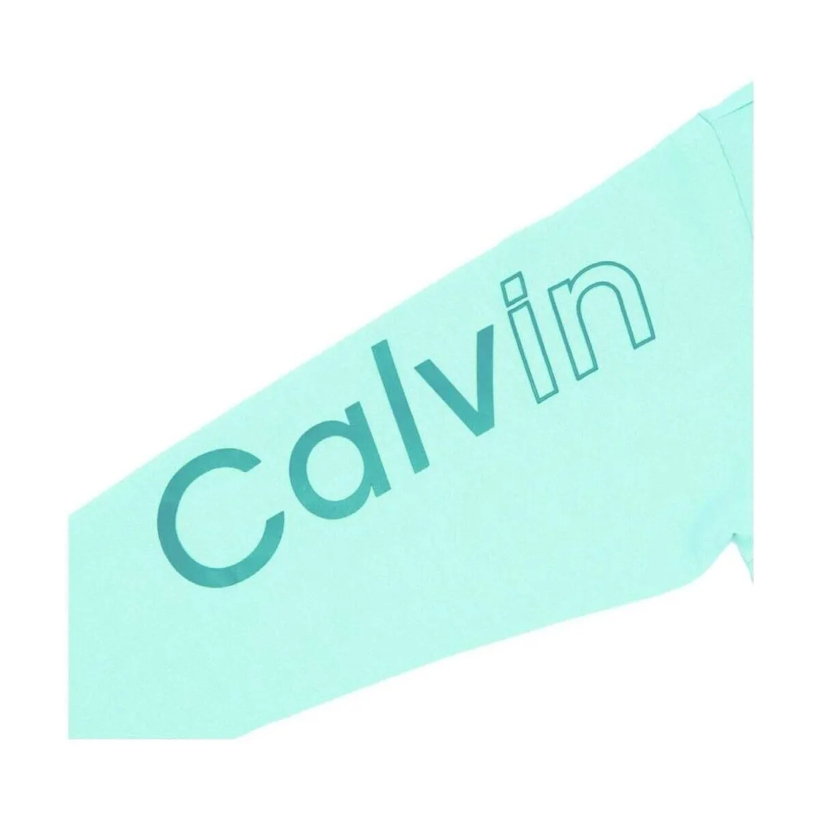 IB0IB02040 CCP