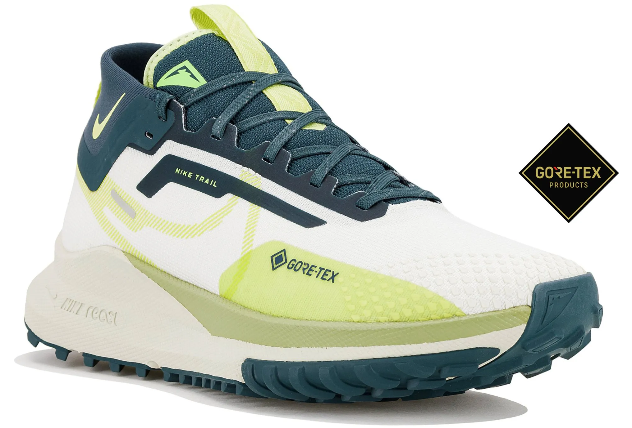 NIKE PEGASUS TRAIL 4 GORETEX