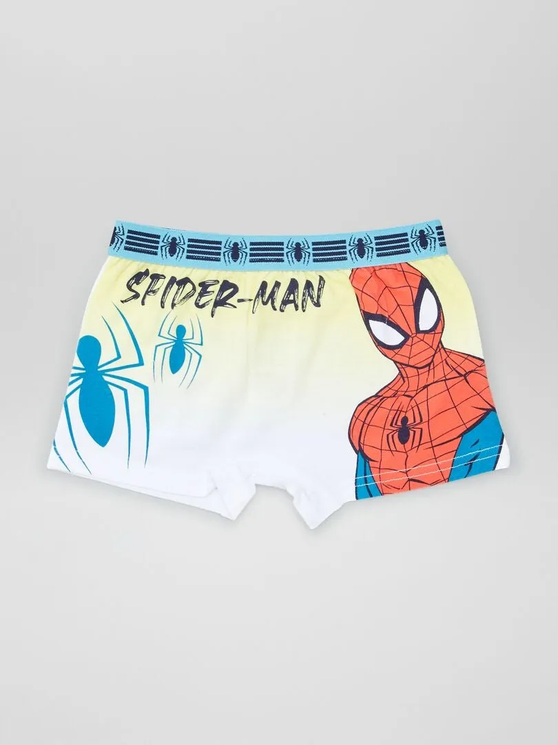 PACK DE 2 BOXERS 'SPIDERMAN' 'MARVEL'  GRIS