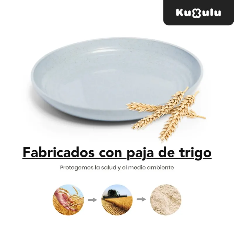 Platos Cocina Trigo