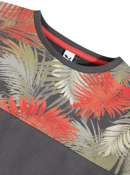 Sudadera 3 Pommes Estampada Gris para Niño